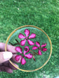 $7 Real Flower Round Coasters, preserved flower, housewarming gift, coworker gift